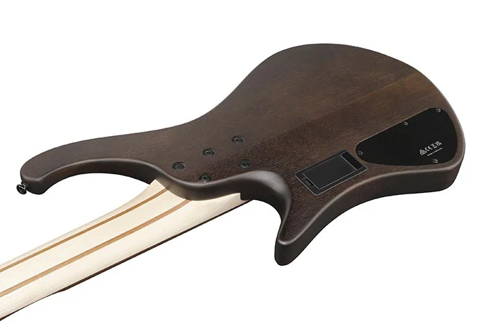 Bajo Electrico Ibanez Ehb605-Wnf - Image 3