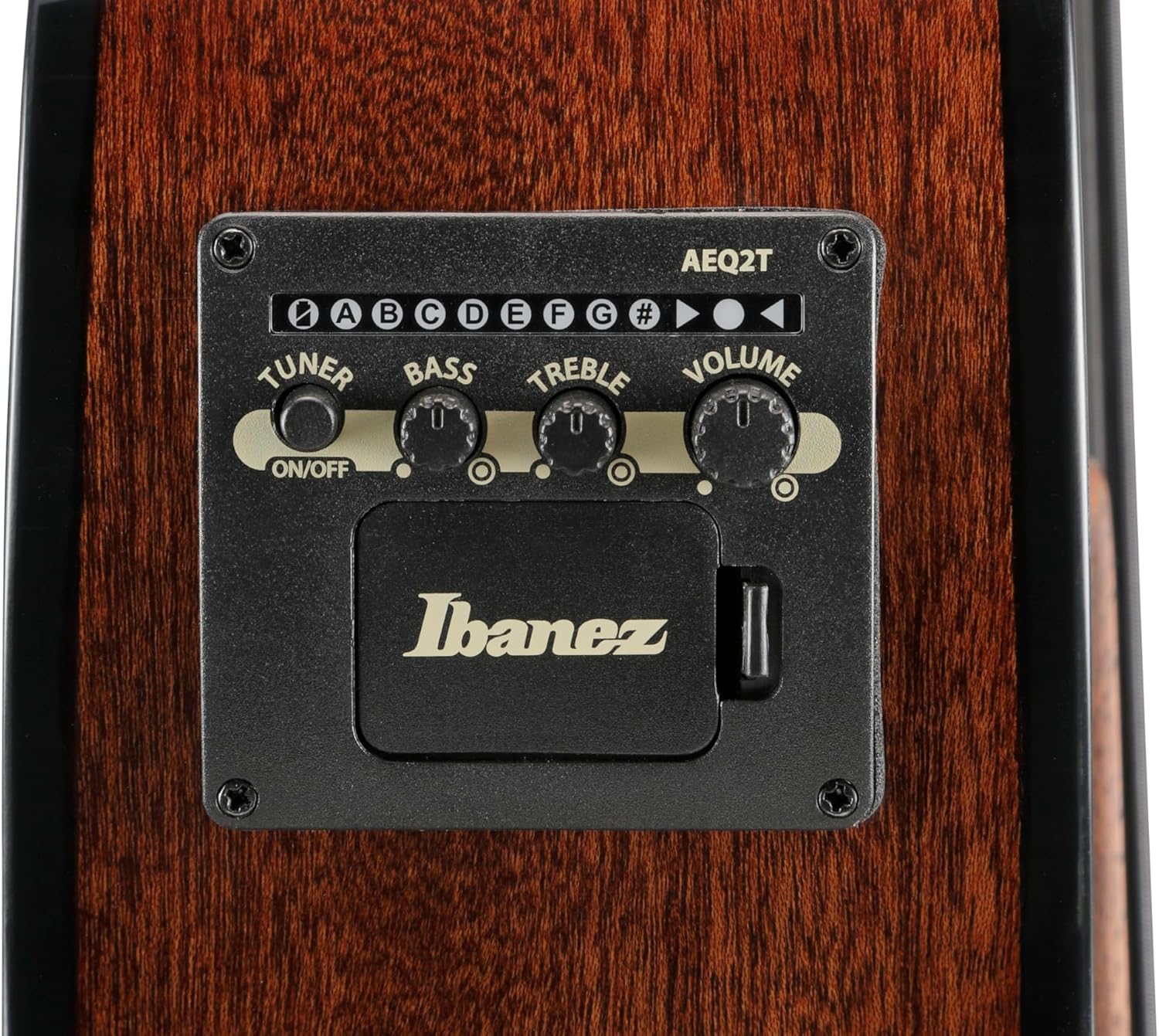Bajo Electroacustico Ibanez Aegb25e-Tkh - Image 4