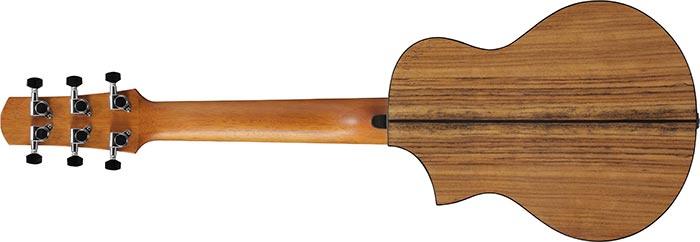 Guitarra Acustica Ibanez Ewp14wb-opn - Image 3