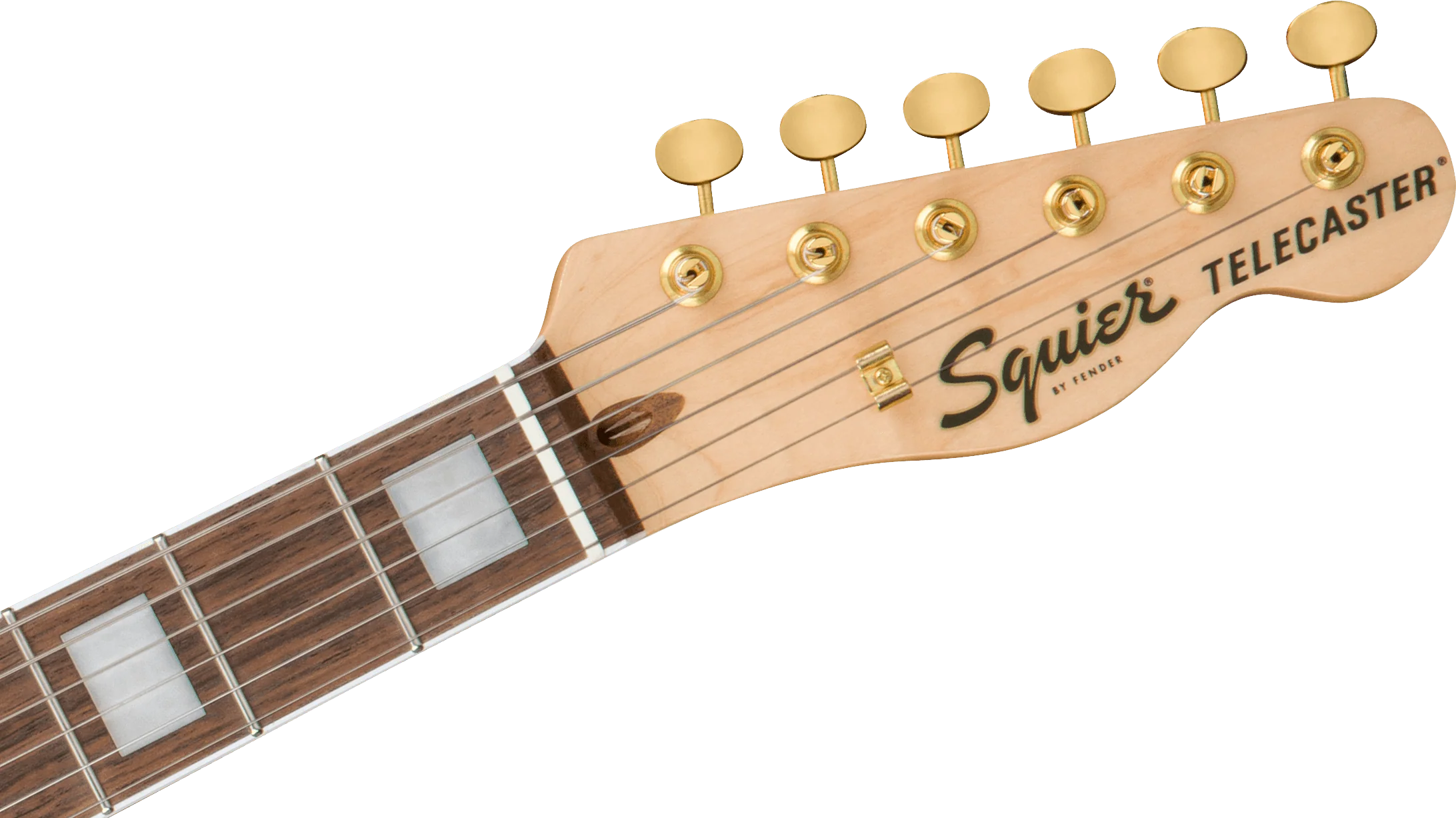 Guitarra Electrica Fender  SQ 40 Tele LRL 0379400546 - Image 6