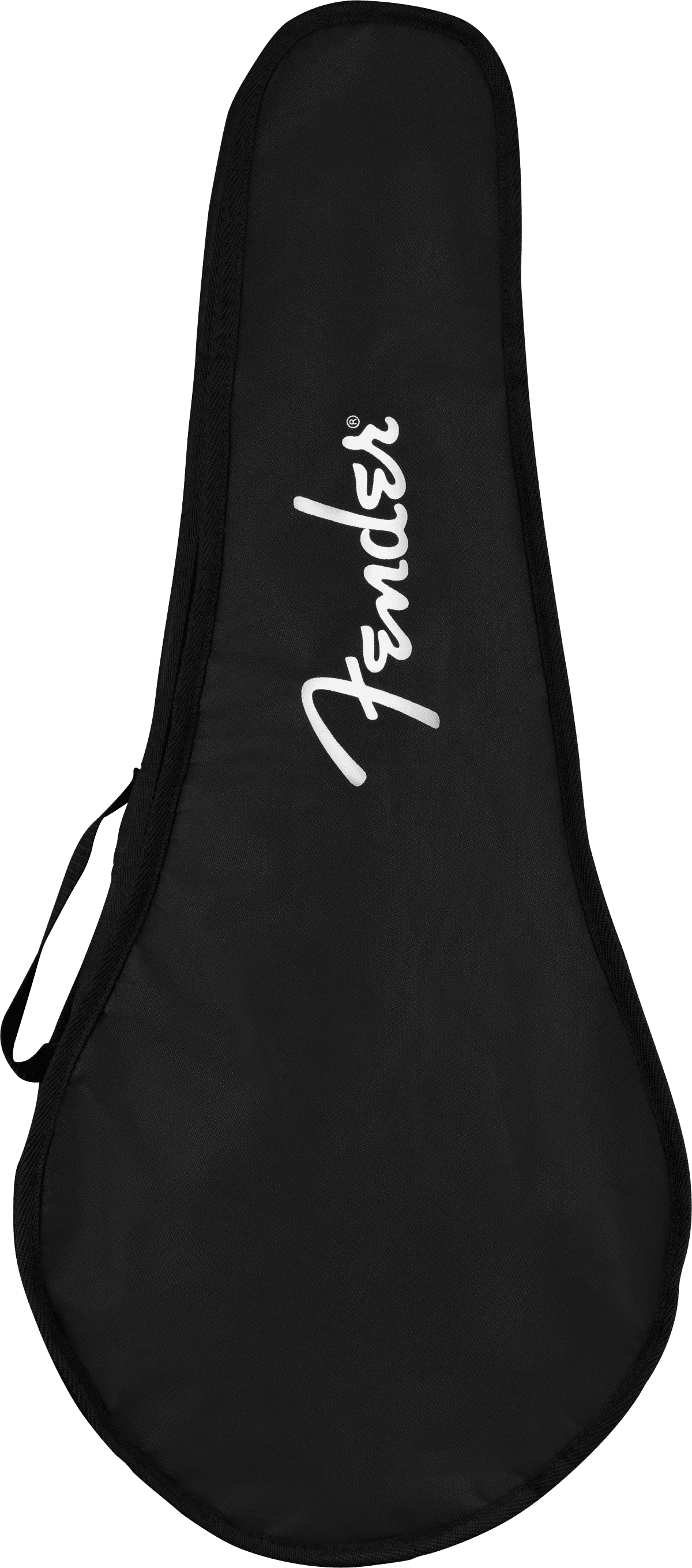 Mandolin Fender Pm-180e 0970382337 - Image 8
