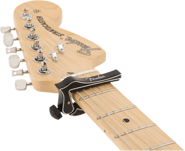 Transportador Fender Dragon 0990409000 - Image 2