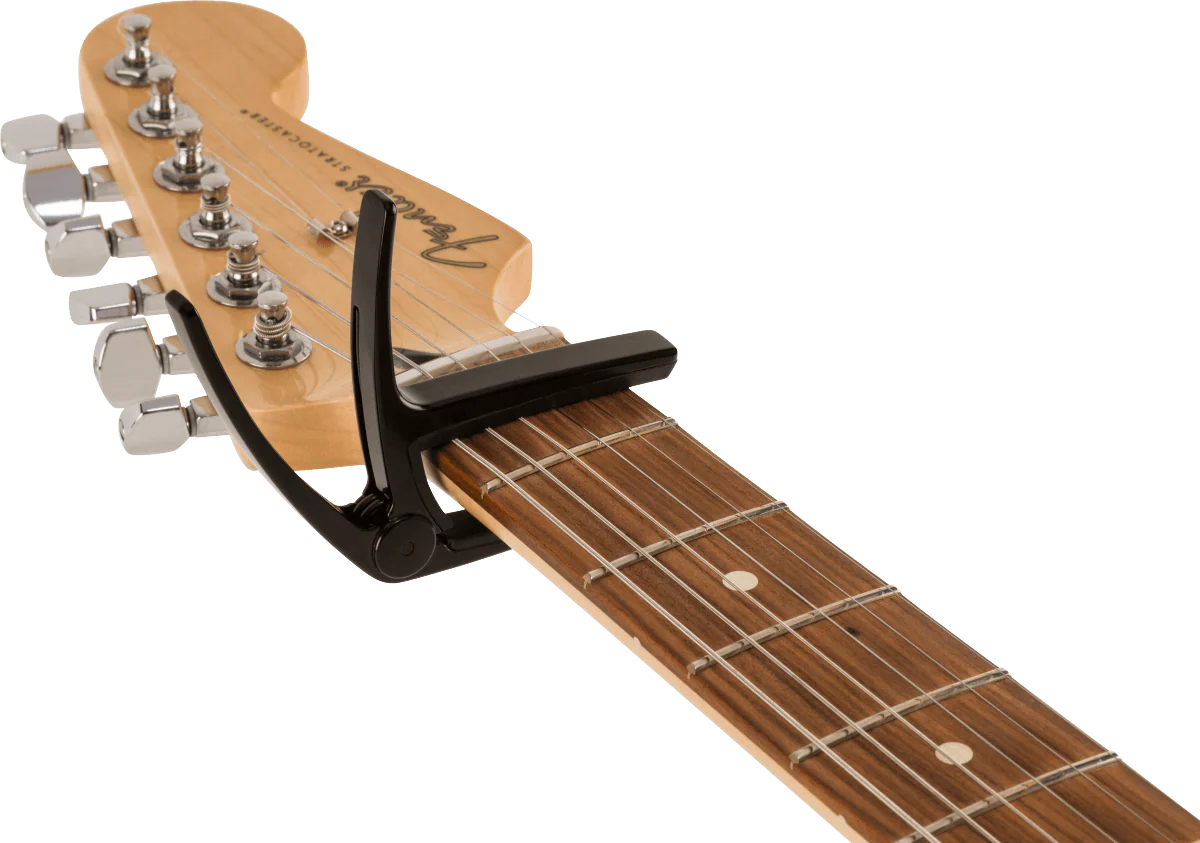 Transportador Fender Laurel 0990413001 - Image 5